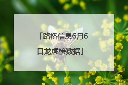 路桥信息6月6日龙虎榜数据