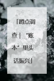 蹲点调查｜“账本”里头话振兴