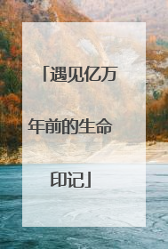 遇见亿万年前的生命印记