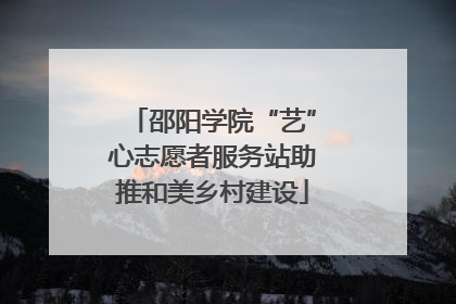 邵阳学院“艺”心志愿者服务站助推和美乡村建设