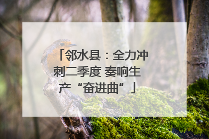 邻水县：全力冲刺二季度 奏响生产“奋进曲”