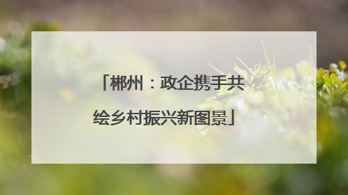 郴州：政企携手共绘乡村振兴新图景