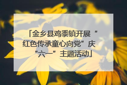 金乡县鸡黍镇开展“红色传承童心向党”庆“六一”主题活动