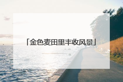 金色麦田里丰收风景