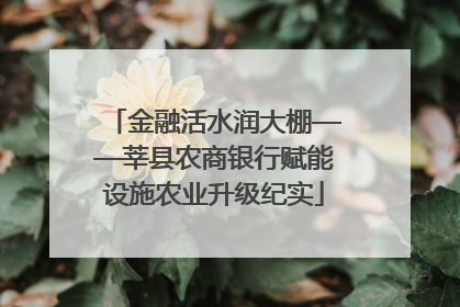 金融活水润大棚——莘县农商银行赋能设施农业升级纪实