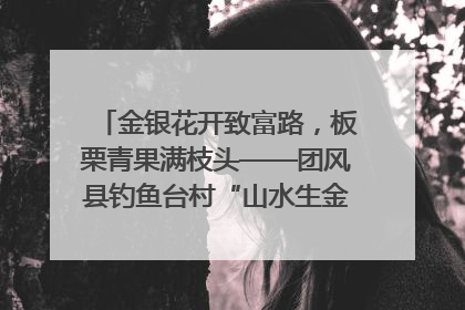 金银花开致富路，板栗青果满枝头——团风县钓鱼台村“山水生金”谱写共富新篇章
