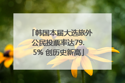 韩国本届大选旅外公民投票率达79.5% 创历史新高