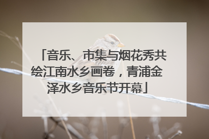音乐、市集与烟花秀共绘江南水乡画卷，青浦金泽水乡音乐节开幕