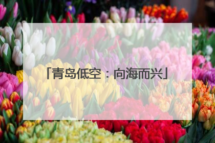 青岛低空：向海而兴
