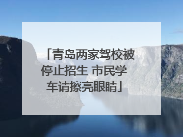 青岛两家驾校被停止招生 市民学车请擦亮眼睛