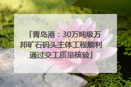 青岛港：30万吨级万邦矿石码头主体工程顺利通过交工质量核验