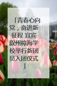 青春心向党，奋进新征程 宜宾叙州樟海学校举行新团员入团仪式