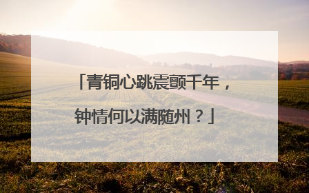 青铜心跳震颤千年，钟情何以满随州？