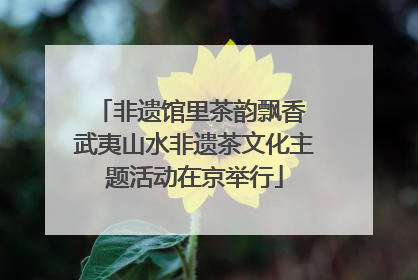 非遗馆里茶韵飘香 武夷山水非遗茶文化主题活动在京举行