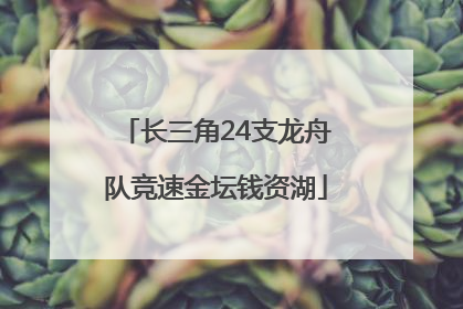 长三角24支龙舟队竞速金坛钱资湖