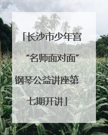 长沙市少年宫“名师面对面”钢琴公益讲座第七期开讲