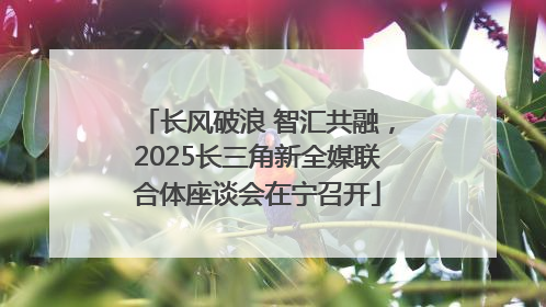 长风破浪 智汇共融，2025长三角新全媒联合体座谈会在宁召开