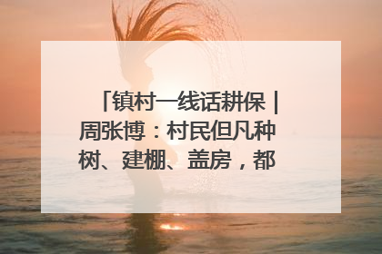 镇村一线话耕保｜周张博：村民但凡种树、建棚、盖房，都要向街道报批