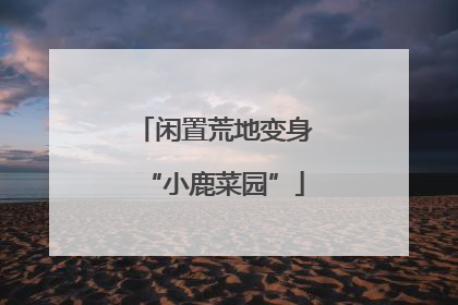 闲置荒地变身“小鹿菜园”