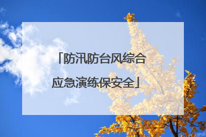 防汛防台风综合应急演练保安全
