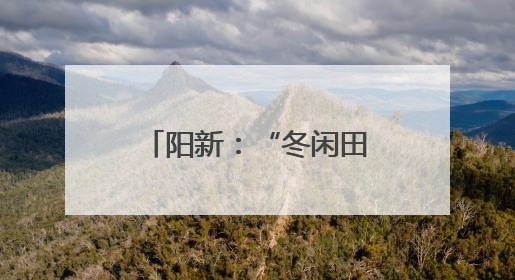 阳新：“冬闲田”变身“黄金田” 稻麦轮作绘就乡村振兴新篇章