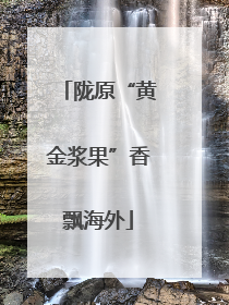 陇原“黄金浆果”香飘海外