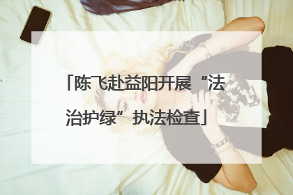陈飞赴益阳开展“法治护绿”执法检查