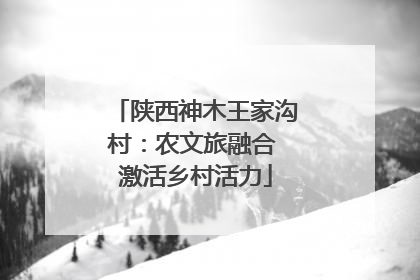 陕西神木王家沟村：农文旅融合 激活乡村活力