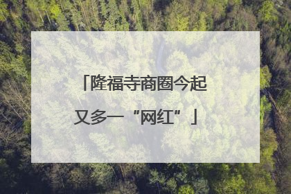 隆福寺商圈今起又多一“网红”