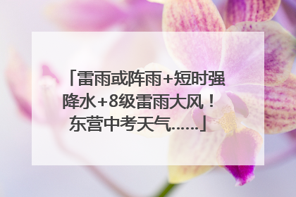 雷雨或阵雨+短时强降水+8级雷雨大风！东营中考天气……