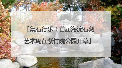 集石行乐！首届海淀石刻艺术周在紫竹院公园开幕