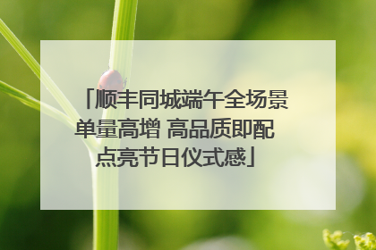 顺丰同城端午全场景单量高增 高品质即配点亮节日仪式感