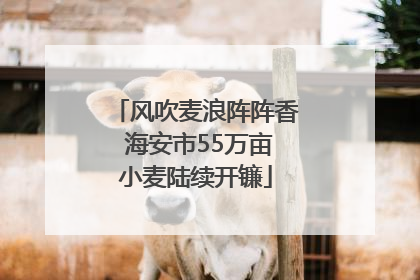 风吹麦浪阵阵香 海安市55万亩小麦陆续开镰