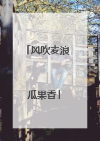 风吹麦浪 瓜果香
