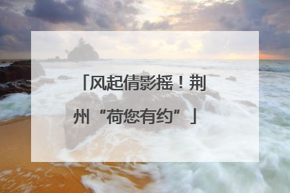 风起倩影摇！荆州“荷您有约”