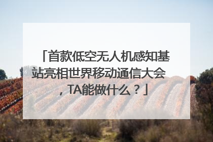首款低空无人机感知基站亮相世界移动通信大会，TA能做什么？