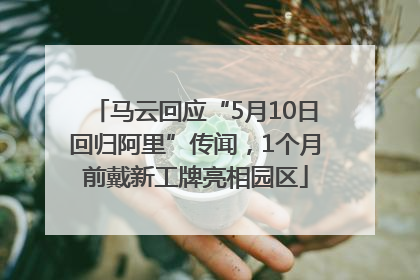 马云回应“5月10日回归阿里”传闻，1个月前戴新工牌亮相园区