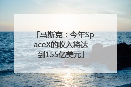 马斯克：今年SpaceX的收入将达到155亿美元