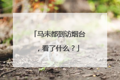 马未都到访烟台，看了什么？