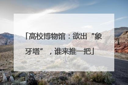 高校博物馆：欲出“象牙塔”，谁来推一把