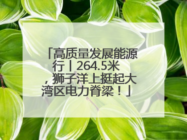 高质量发展能源行丨264.5米，狮子洋上挺起大湾区电力脊梁！