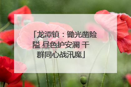 龙潭镇：锄光凿险隘 昼色护安澜 干群同心战汛魔