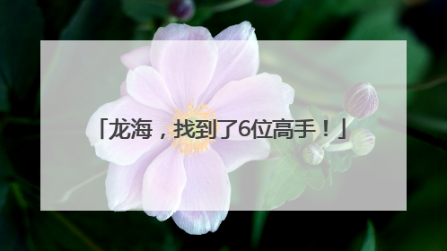 龙海，找到了6位高手！