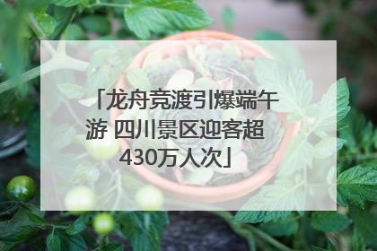 龙舟竞渡引爆端午游 四川景区迎客超430万人次