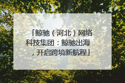 鲸驰（河北）网络科技集团：鲸驰出海，开启跨境新航程