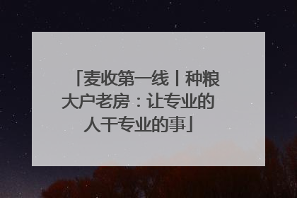 麦收第一线丨种粮大户老房：让专业的人干专业的事