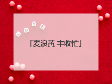 麦浪黄 丰收忙