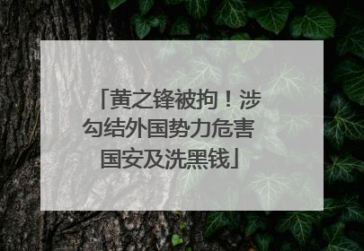 黄之锋被拘！涉勾结外国势力危害国安及洗黑钱
