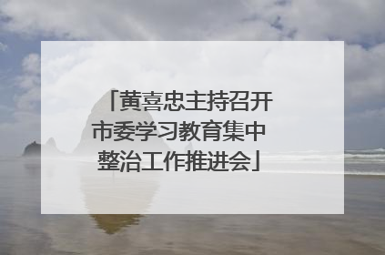 黄喜忠主持召开市委学习教育集中整治工作推进会