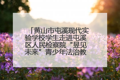 黄山市屯溪现代实验学校学生走进屯溪区人民检察院“昱见未来”青少年法治教育宣传基地